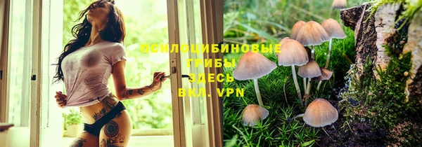 экстази Алексин