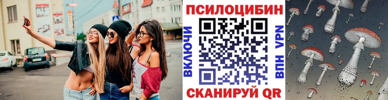 Псилоцибиновые грибы Psilocybe  Кувшиново 